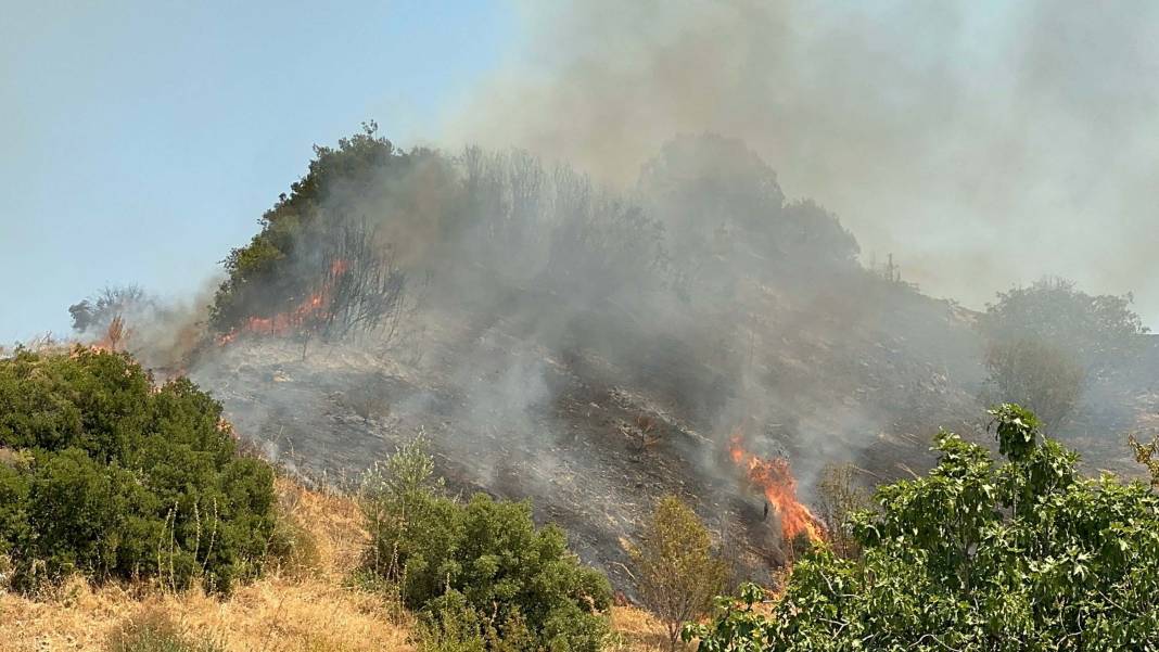 Manisa'da orman yangını 4